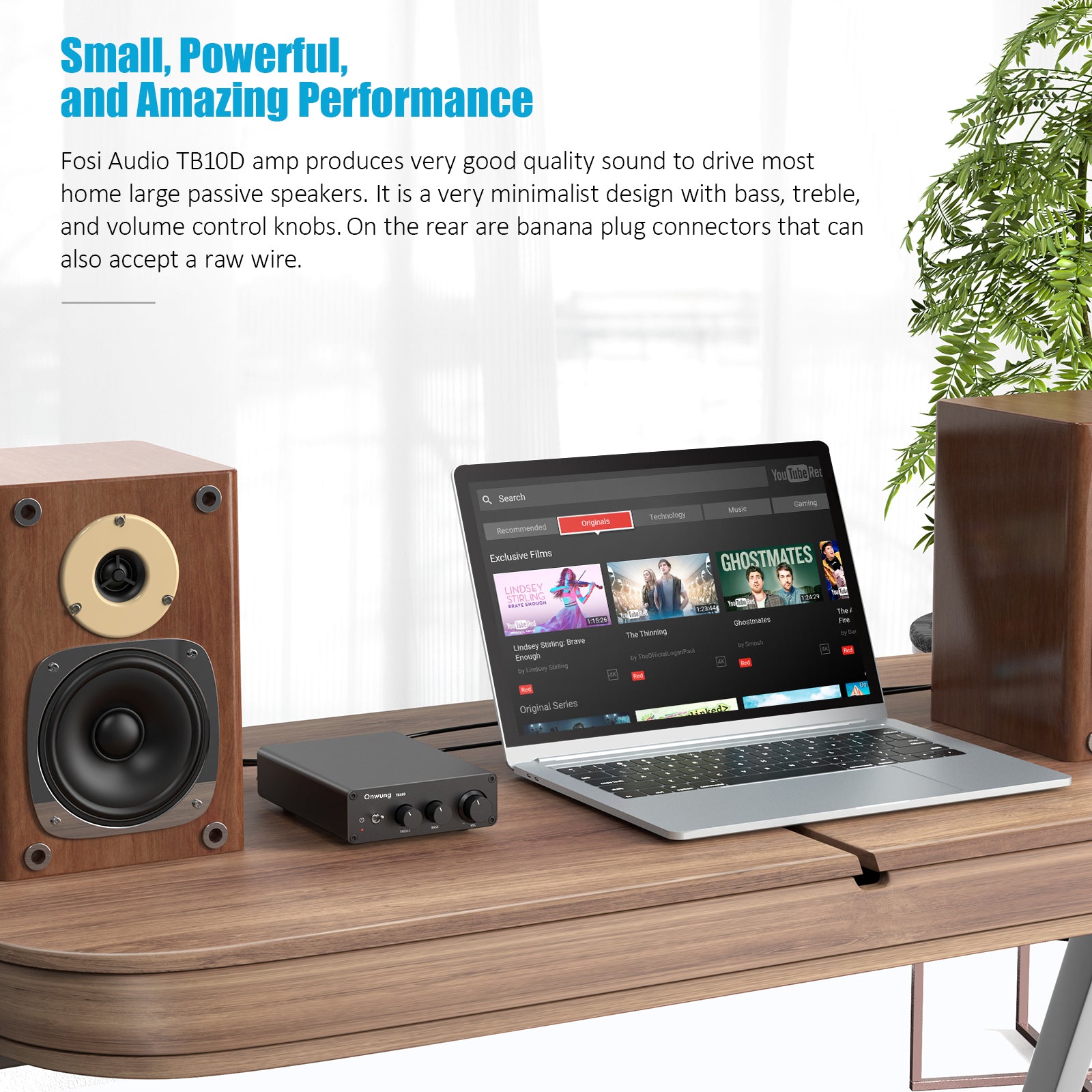 Onwung TB10D Stereo Audio Amplifier