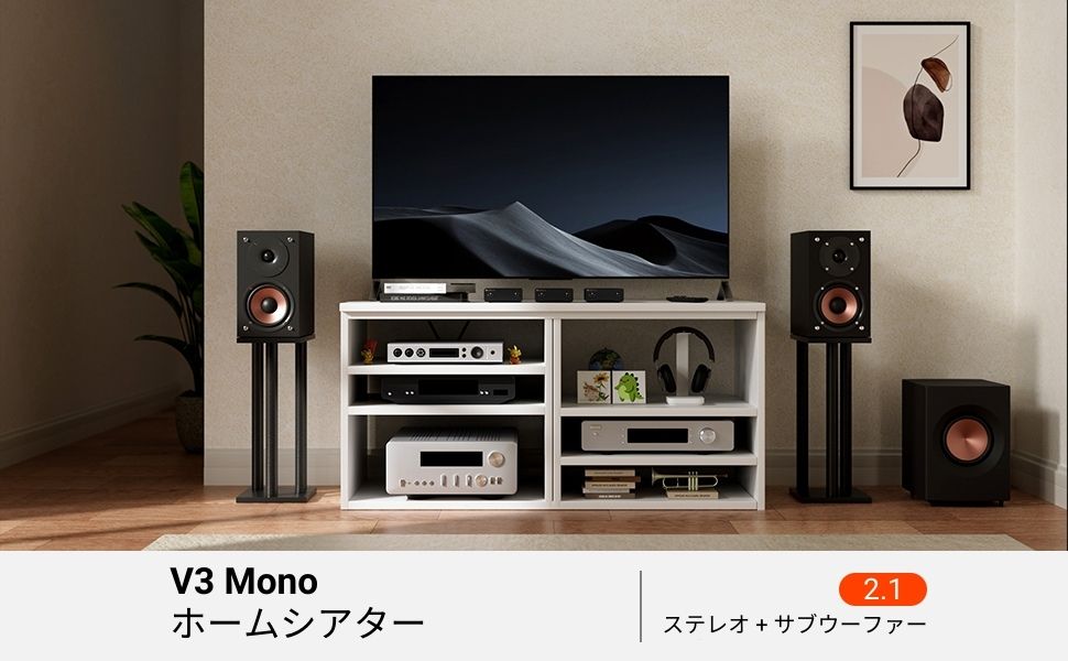V3 MONO 2.1 Stereo V3 MONO 2.1 Stereo