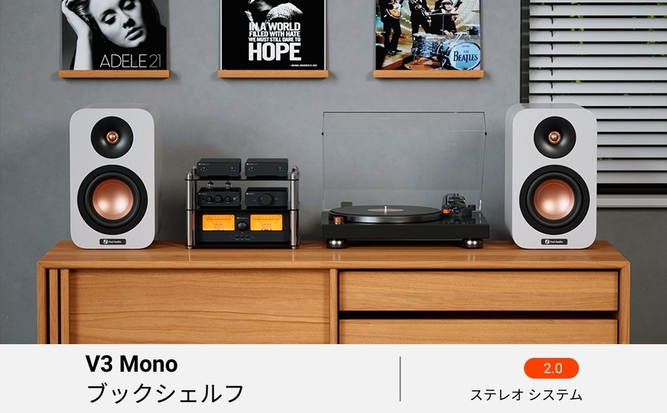 V3 MONO 2.0 Stereo-1 V3 MONO 2.0 Stereo-1