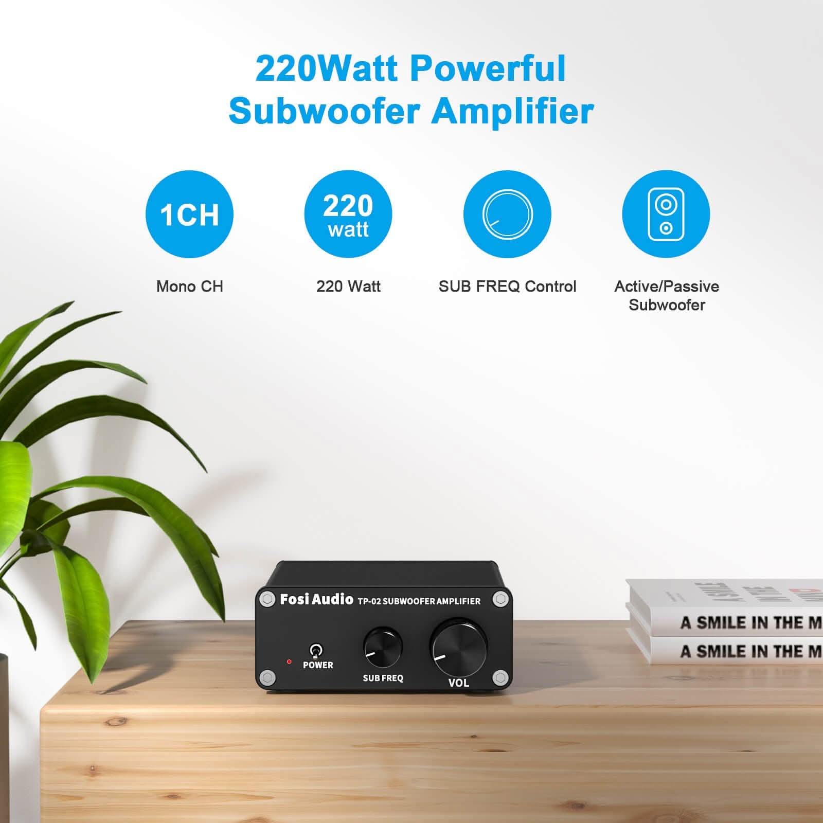 Fosi Audio TP-02 Subwoofer Amplifier