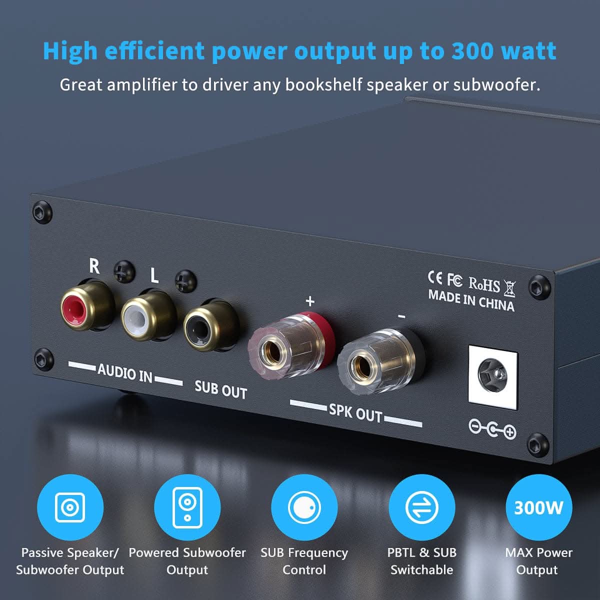 Mini Mono Audio Amp