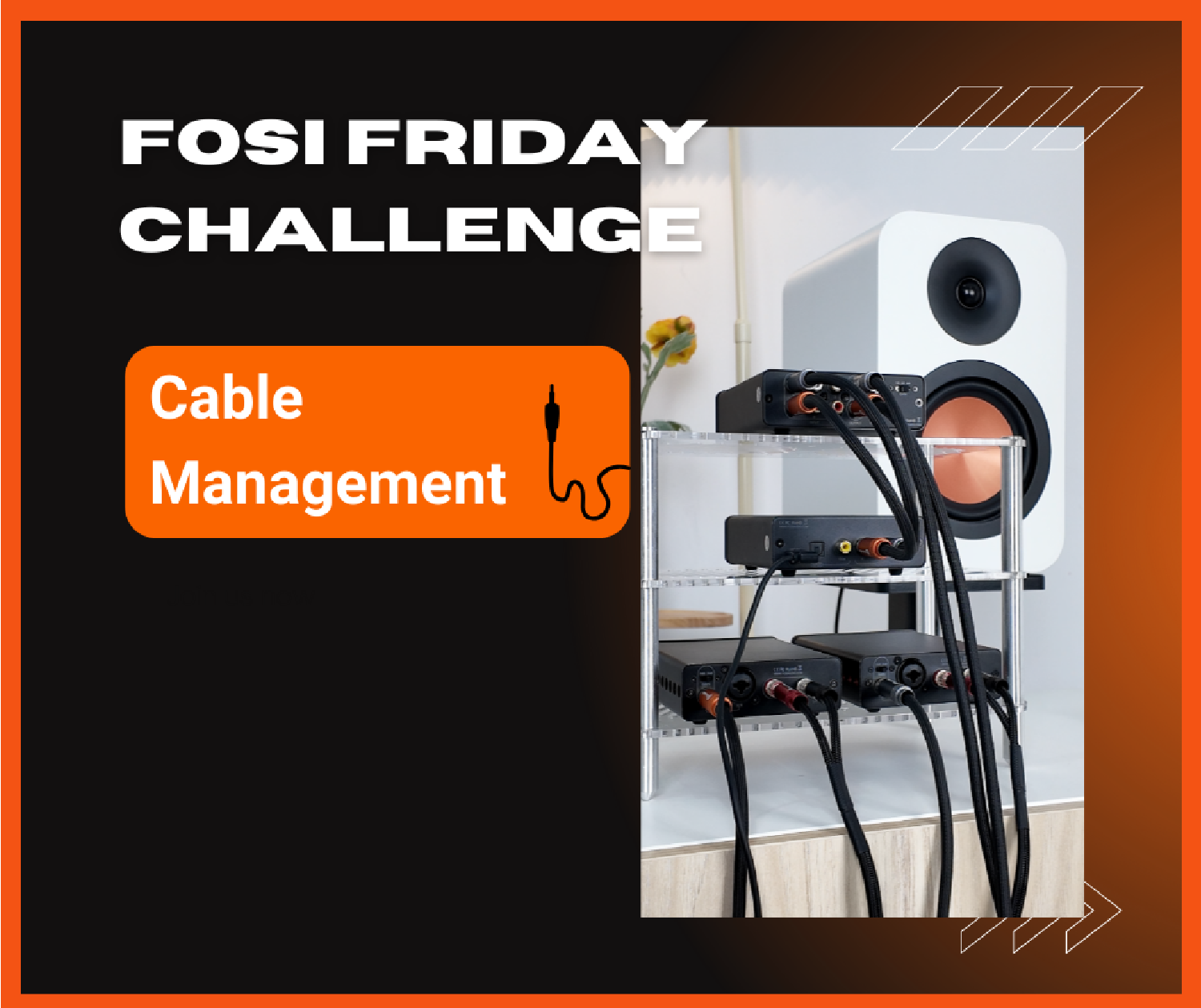 What Audiophiles Really Hide Behind Their HiFi Racks