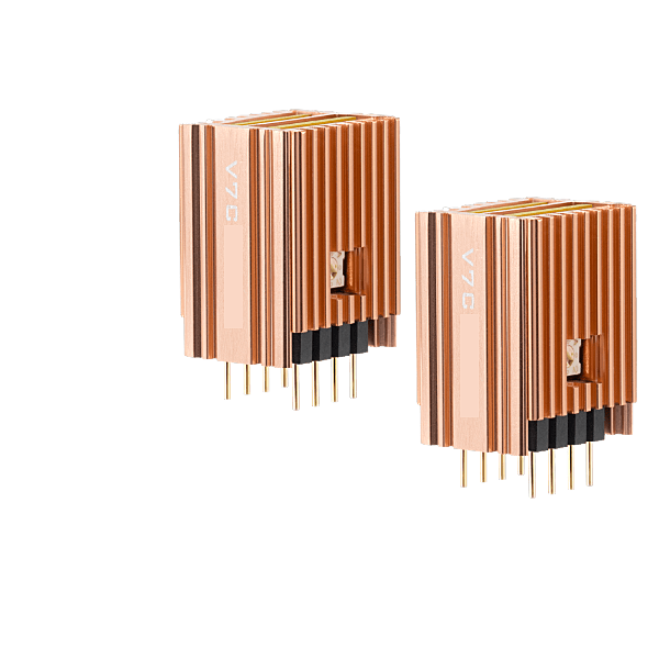 SparkoS Labs SS3602, Burson V7, MUSES02, OPA2134PA, High Quality Operational Amplifier Chip for BT20A PRO and V3 (1 Pair 2PCS) - Fosi Audio