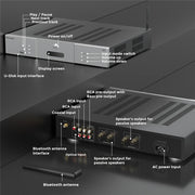 Fosi Audio TP-02 Subwoofer Amp Receiver 220W Class D Amp